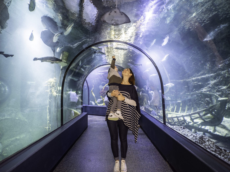 Espace Atlantique Océarium du Croisic