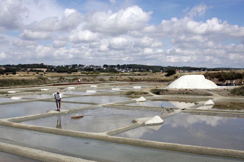 Guérande-Terre de Sel-Pradel Marais Salants Paludier Photo P. François