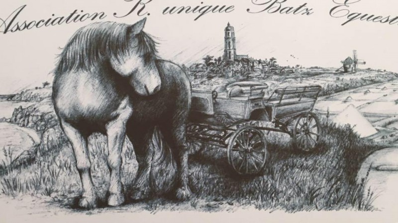 K-Unique Batz Equestre
