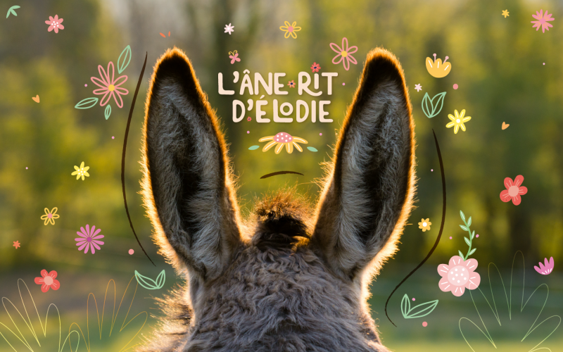 L'âne Rit d'Élodie - Saint-André-des-Eaux