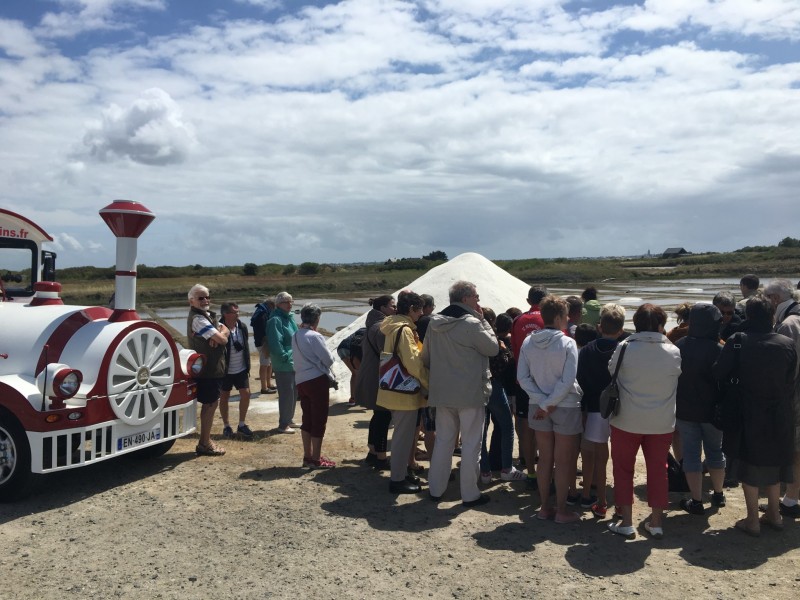 Le Petit Train des Marais Salants