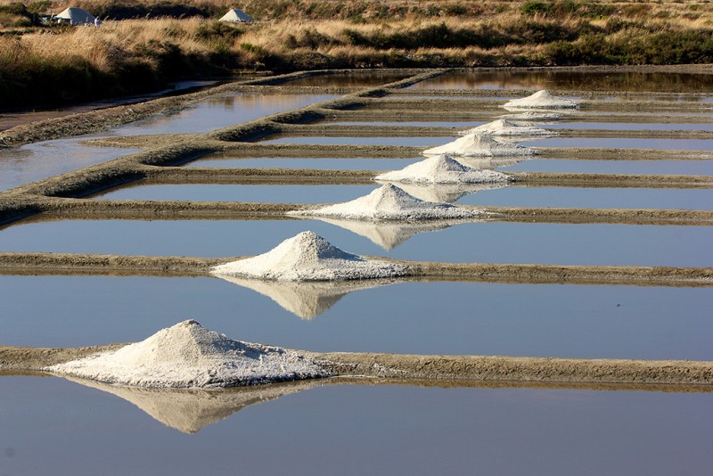 Les marais salants de Pascal et Delphine