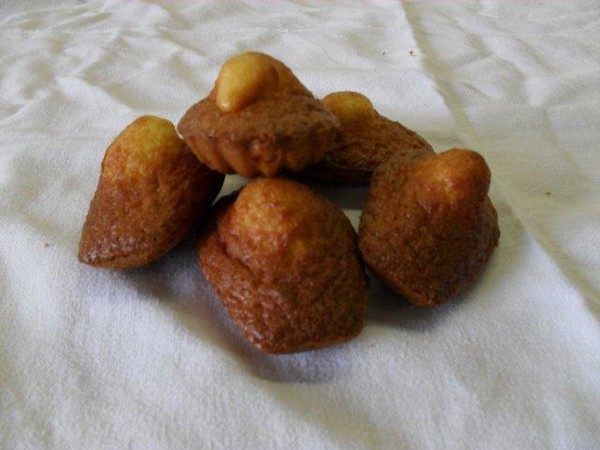 Madeleines - Biscuiterie Le Phare 