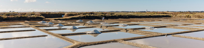 marais-salants-2039015-2040443