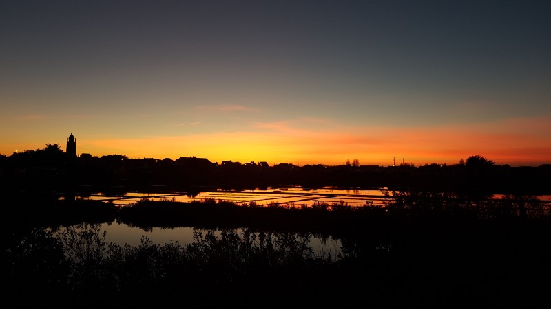 Marais salants au coucher du soleil 