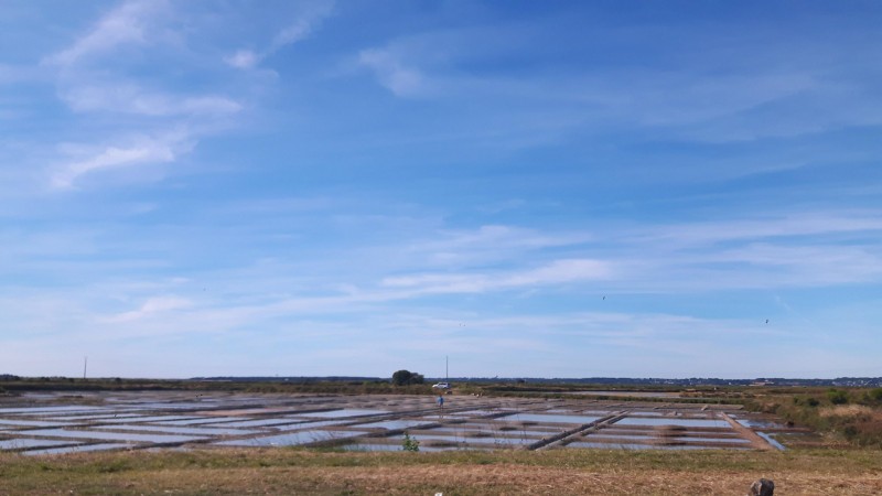 Marais salants - Batz-sur-Mer