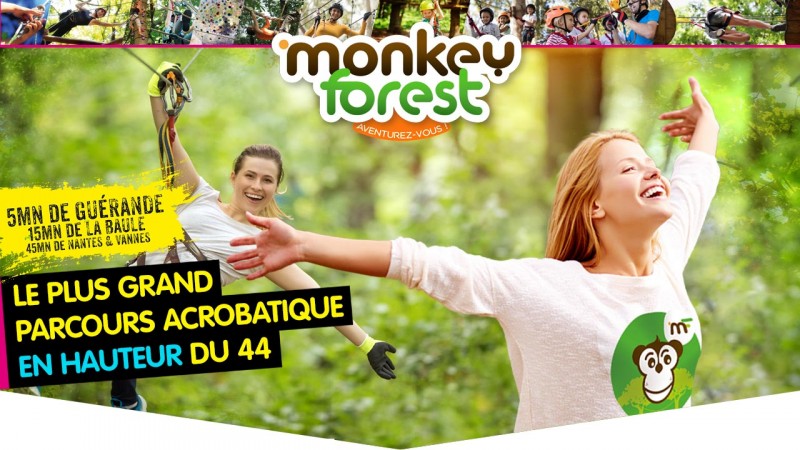 Monkey Forest Aventures & Loisirs - Saint-Molf