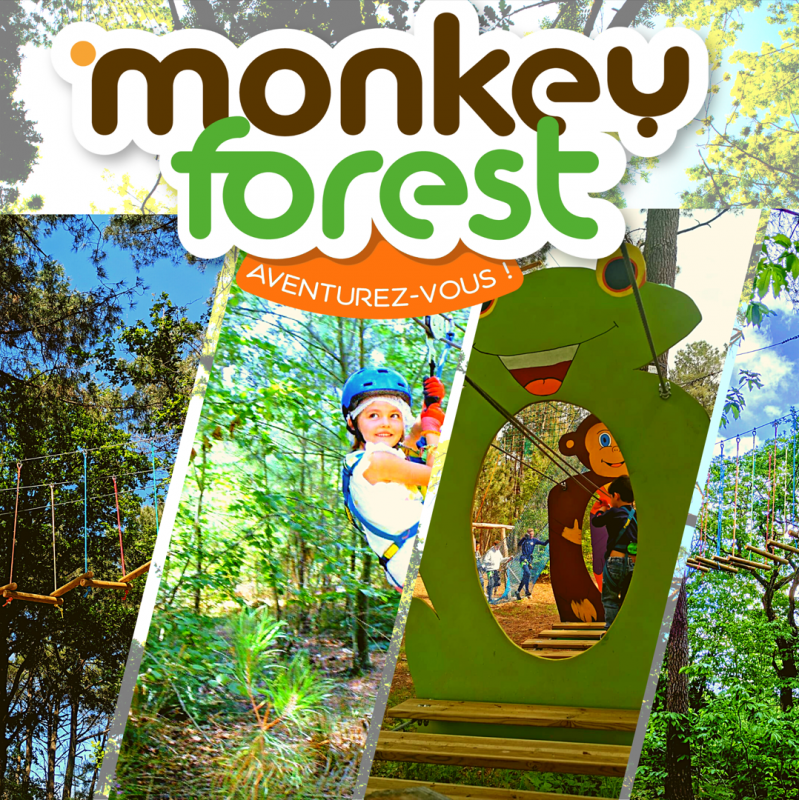 Monkey Forest Aventures & Loisirs - Saint-Molf 