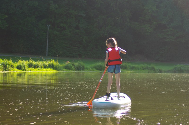01 - paddle