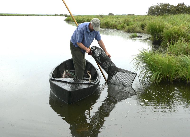 Pêche dans les marais de Brière