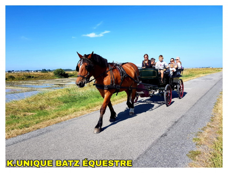 K Unique Batz Equestre