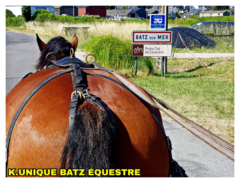K Unique Batz Equestre
