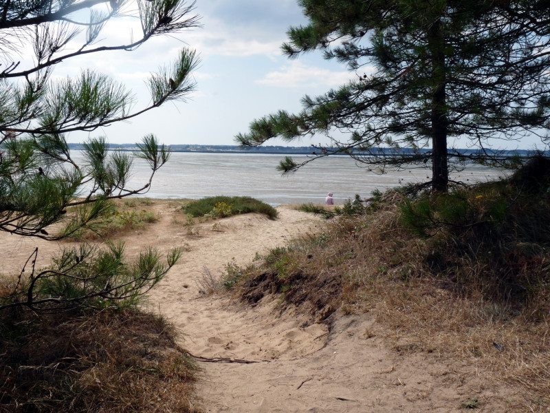 Plage du Palandrin - Pénestin
