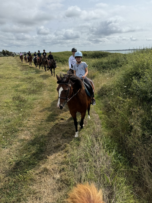 Poney Club des Iles - Pointe du Bile - Pénestin