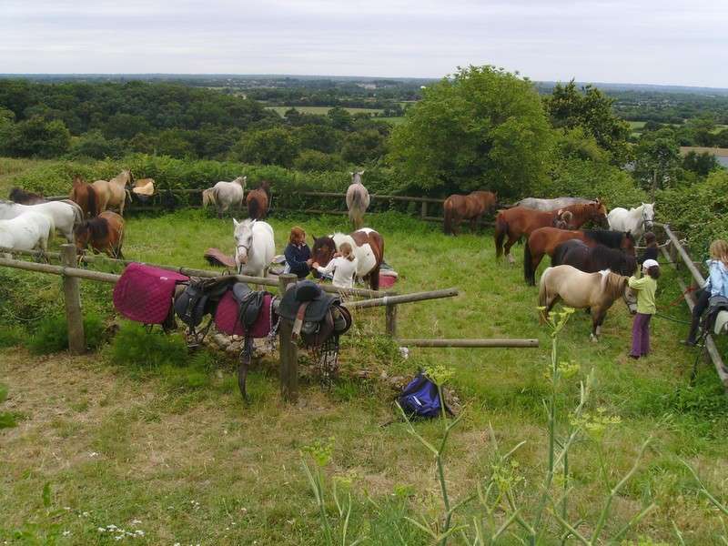 poney-club-des-landes-de-cuneix-2015-1062919