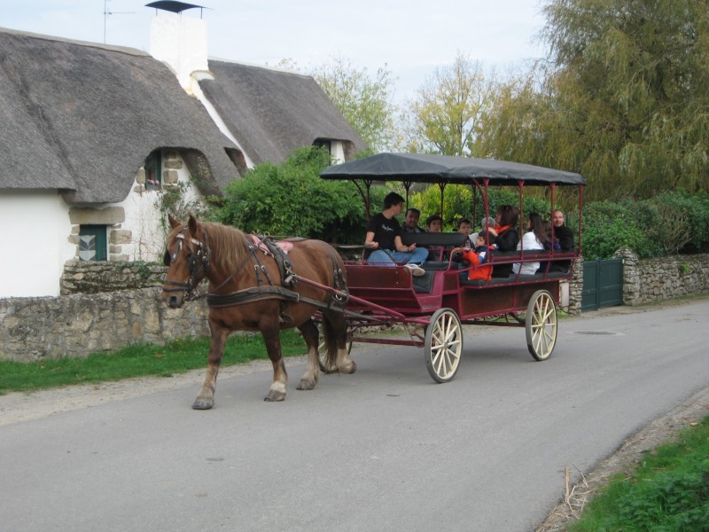 Promenade en calèche - Bréca - Saint Lyphard