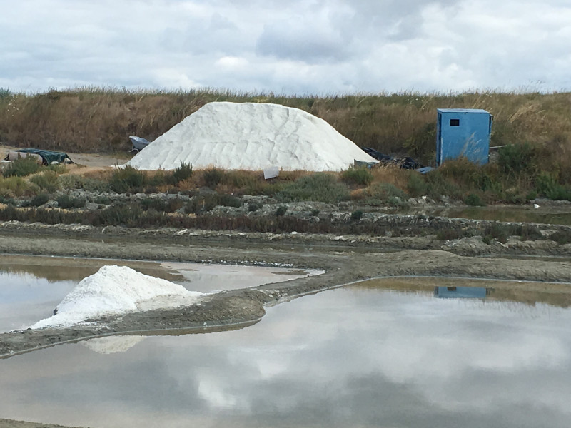 saline-1-2040438