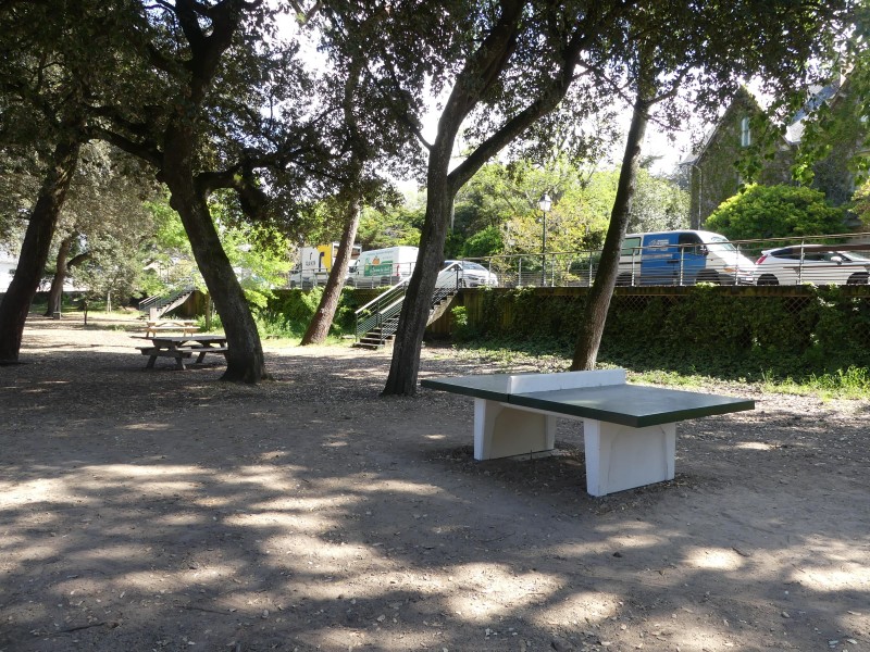 Tables de pique-nique et de ping-pong du petit-bois