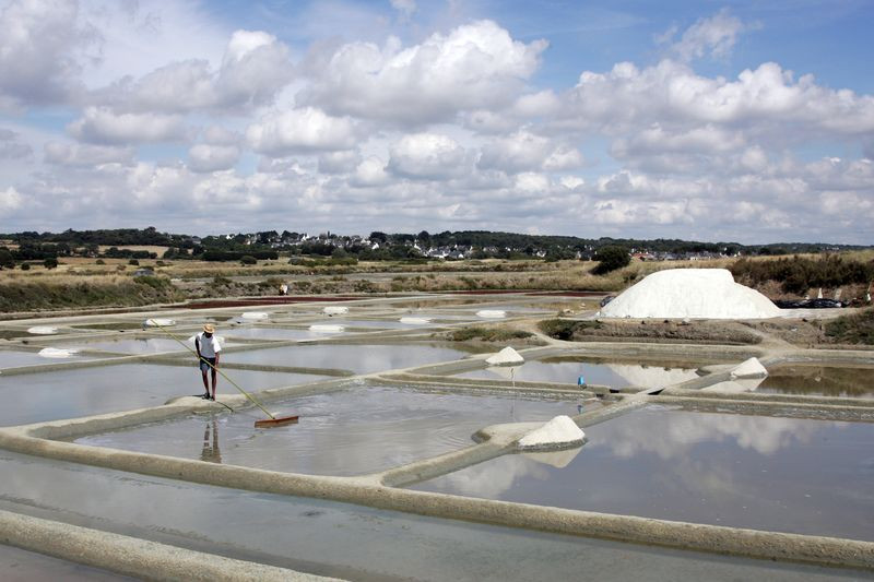 Terre de Sel - Marais Salants - Guérande
