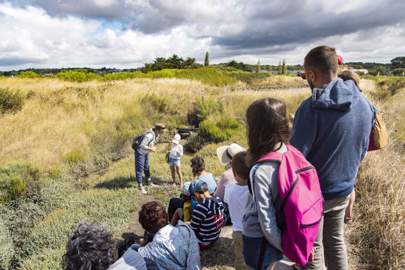Terre de Sel - Visite guidée - Guérande