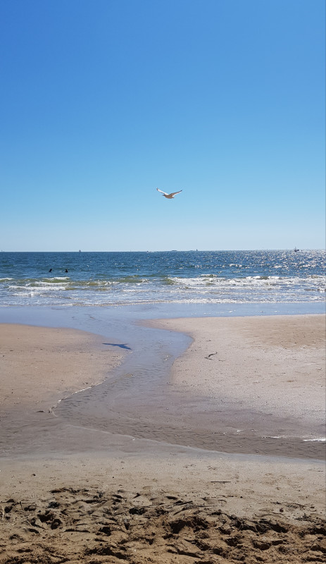 Ther'HAPIES - La Baule - sur la plage