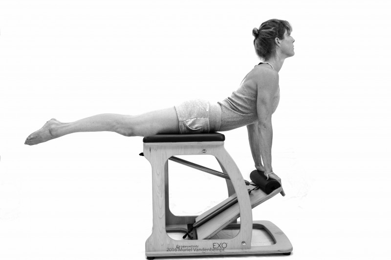Tree of life Pilates Cochard 1
