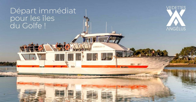 Vedettes l'Angélus - Découverte du Golfe du Morbihan et traversées vers les îles - Port Navalo