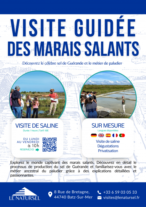 visites-web-2041226 visites-web-2041226