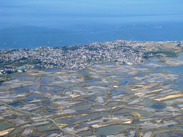 The salt marshes