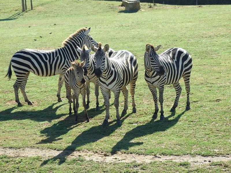 Zoo de la Boissière du Doré