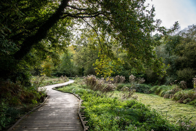 Zone humide - Branféré Zone humide - Branféré
