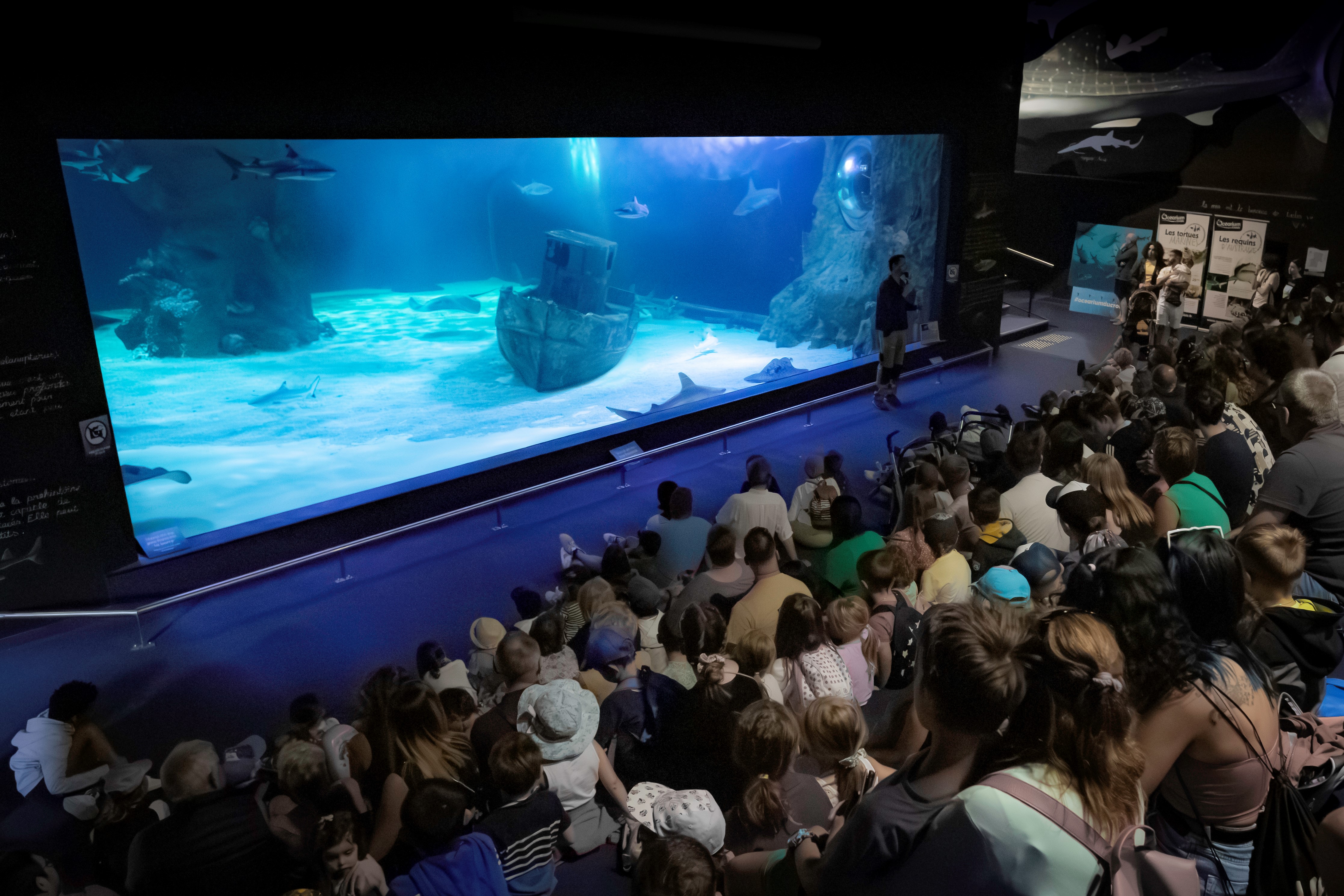 Océarium du Croisic - spectacle