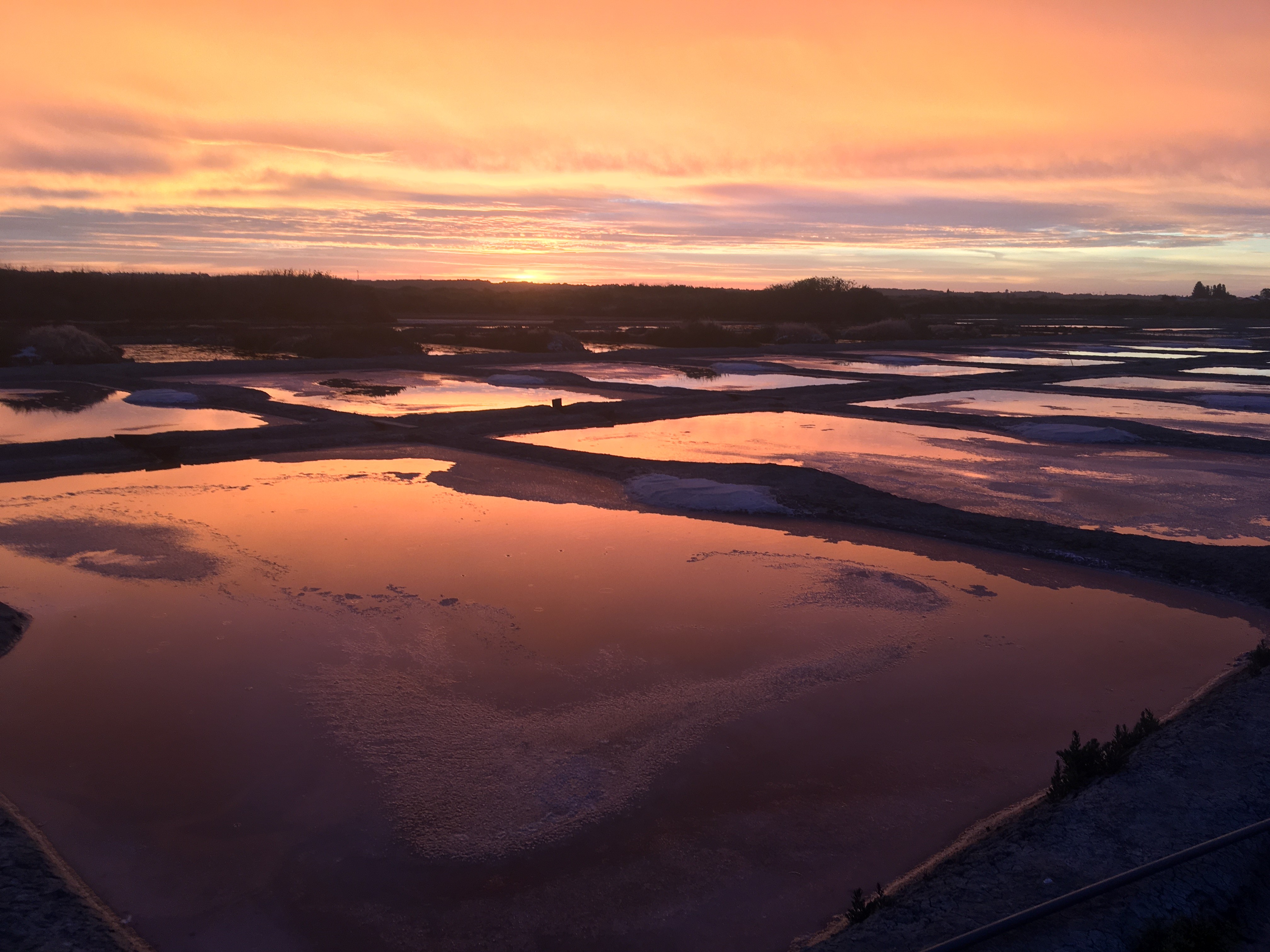 saline-3-2039889