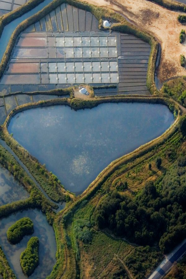 Terre de Sel - vue aérienne - Guérande