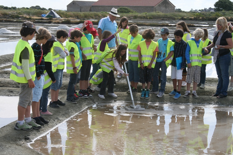 Le Natursel propose des visites guidées pour découvrir les marais salants