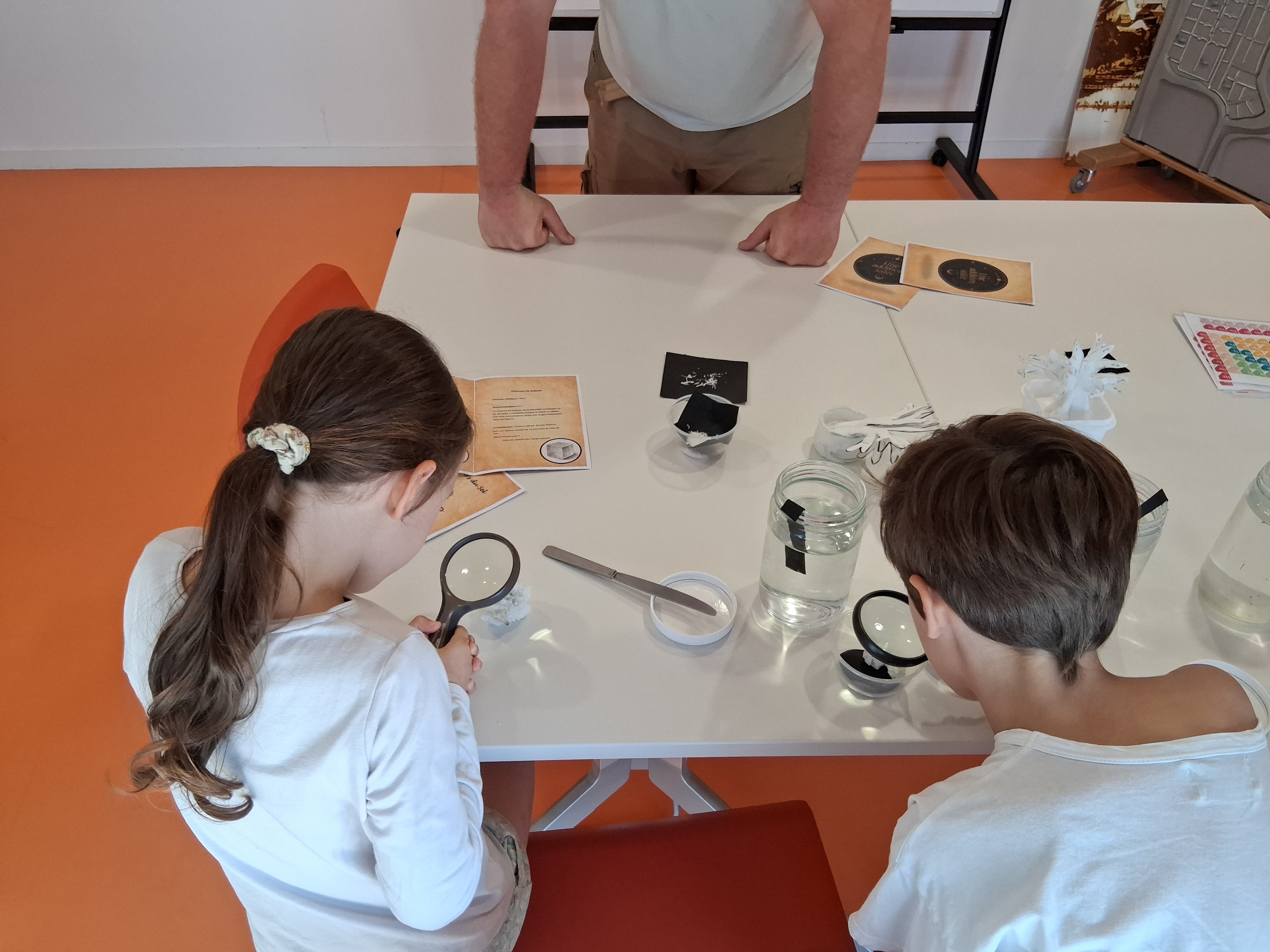 atelier-endenst-avec-loupe-mus-e-2605001