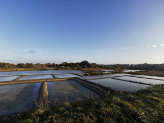 img-20220222-175307-2489354