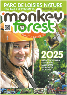 monkey-forest-2593196