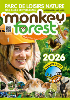 monkeyforest-2601197