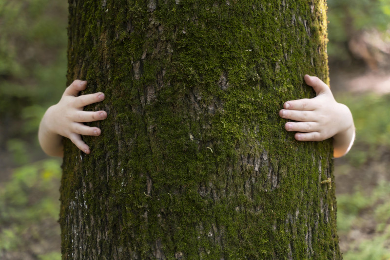 atelier-la-vie-secrete-arbres-2593530