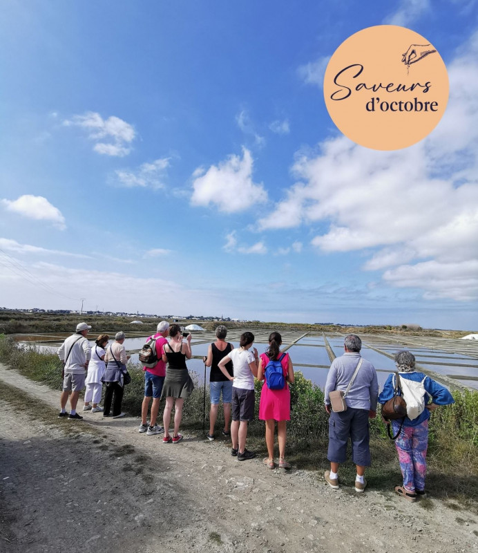 Batz-sur-Mer - Visite à la découverte d'un paludier - Saveurs d'octobre