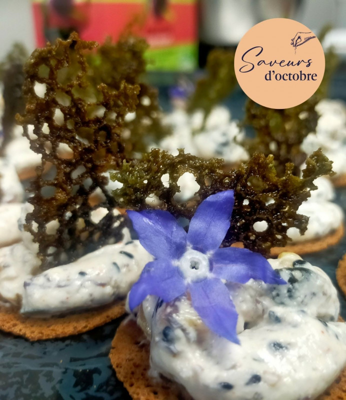 Découverte des algues et atelier cuisine - Batz-sur-Mer - Saveurs d'octobre
