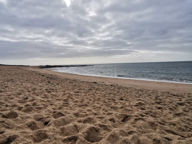 img-20220131-134549-2600868 img-20220131-134549-2600868