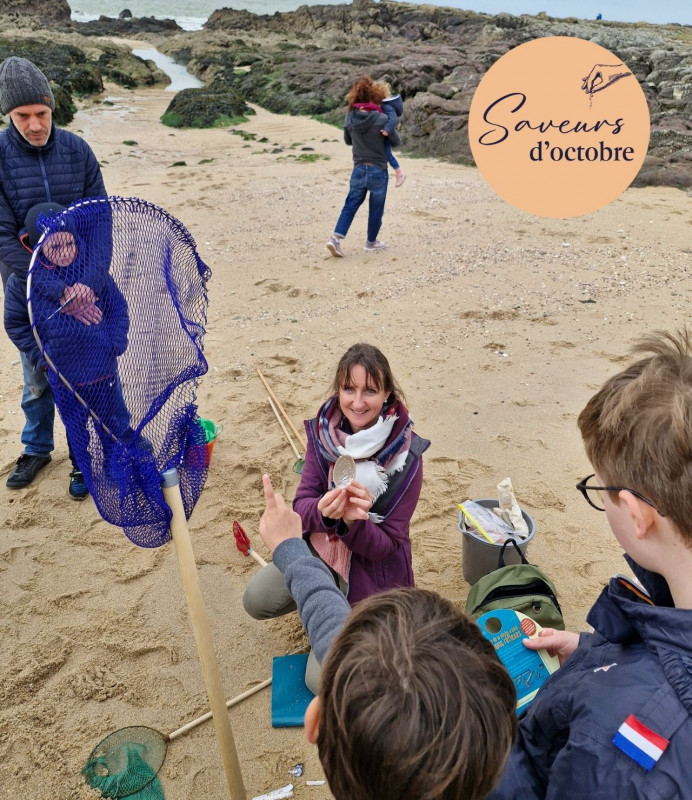 Initiation à la pêche à pied - Batz sur mer - Saveurs d'octobre