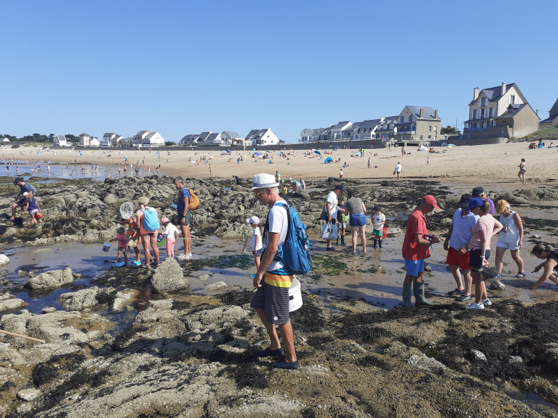 Initiation à la pêche à pied - Saveurs d'octobre - Batz-sur-Mer