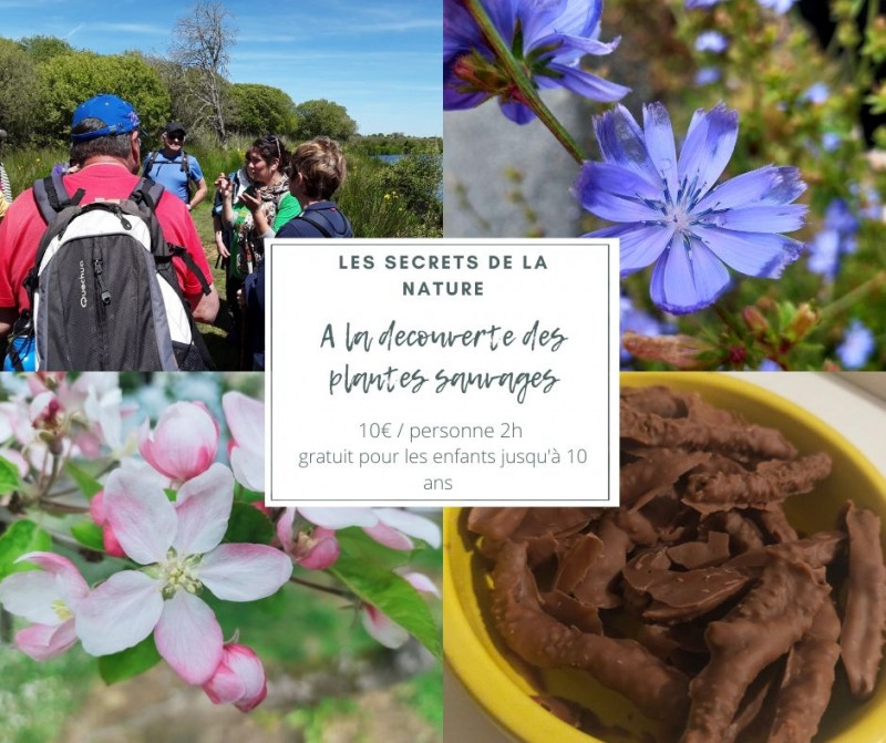 Les secrets de la nature