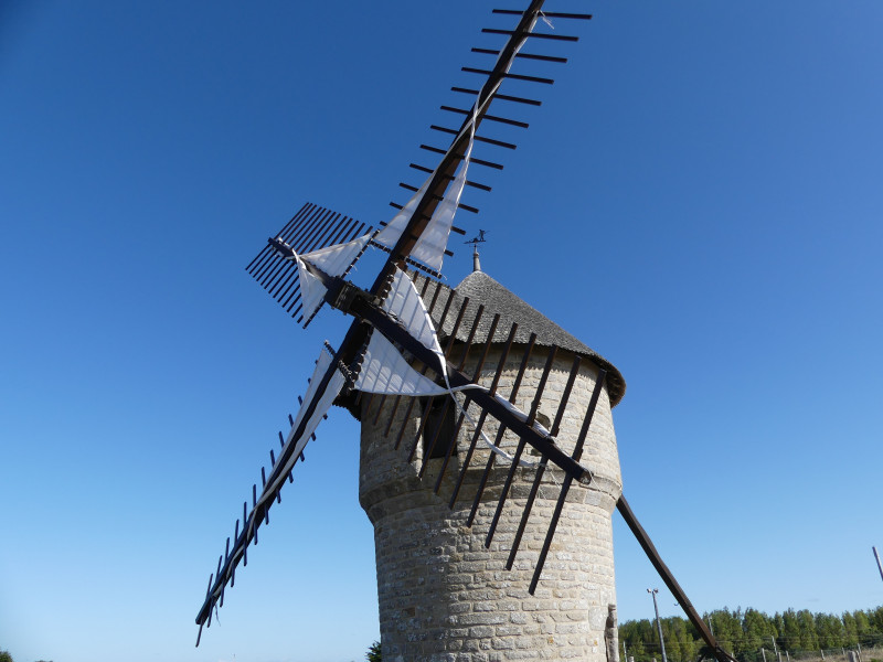Visites du Moulin de la Falaise Du 4 mai au 30 août 2024