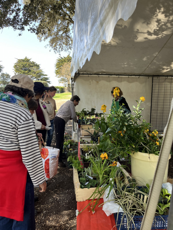 potager-de-marianne-3-2600843 potager-de-marianne-3-2600843