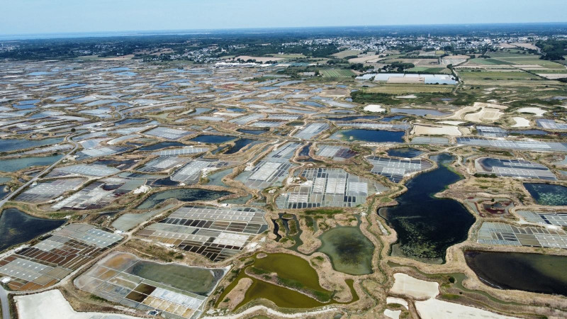 Visite à travers des marais