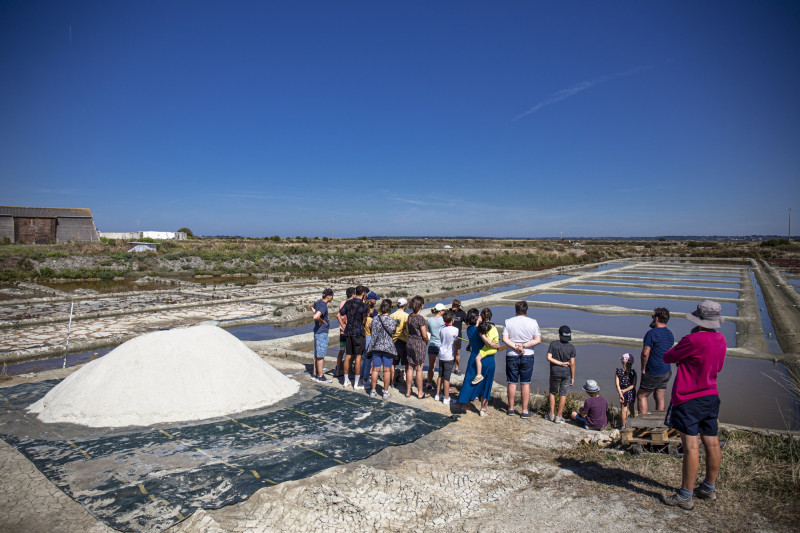 Visite_musée_saline